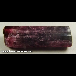 Mineral Specimen: Double Terminated Rubellite Tourmaline from Sao Jose da Safira, Doce valley, Minas Gerais, Brazil