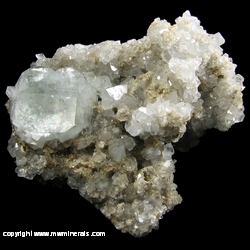 Minerals Specimen: Celestine from Maybee, Monroe Co., Michigan, USA Minerals Specimen: Celestine from Maybee, Monroe Co., Michigan, USA