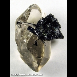 Minerals Specimen: Tourmaline on and Included in Quartz from Chia Mine, Sao Jose da Safira, Minas Gerais, Brazil