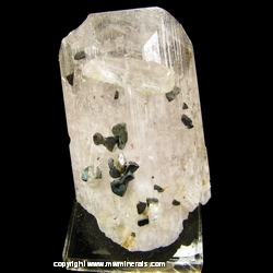 Minerals Specimen: Chalcopyrite Crystals on Danburite from Mina La Aurora, Charcas, San Luis Potosi, Mexico
