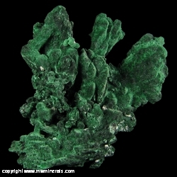 Mineral Specimen: Malachite Pseudomorph after Azurite from Mina Milipillas, Milipillas, Sonora, Mexico Mineral Specimen: Malachite Pseudomorph after Azurite from Mina Milipillas, Milipillas, Sonora, Mexico