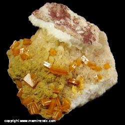 Minerals Specimen: Wulfenite on Calcite from Erupcion Mine, Los Lamentos Mts, Mun. de Ahumada, Chihuahua, Mexico Minerals Specimen: Wulfenite on Calcite from Erupcion Mine, Los Lamentos Mts, Mun. de Ahumada, Chihuahua, Mexico