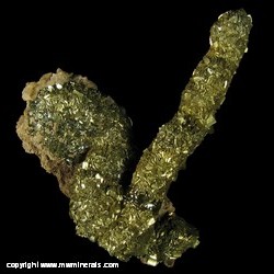 Mineral Specimen: Marcasite Stalactite (Repaired) from Blackstone Mine, Shullsburg, Lafayette Co., Wisconsin
