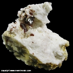 Mineral Specimen: Spessartine Garnet on Albite from Navegadora Mine, Conselheiro Pena, Minas Gerais, Brazil