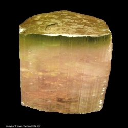 Minerals Specimen: Bicolor Tourmaline (Elbaite) from Himalaya Mine, San Diego County, California, USA Minerals Specimen: Bicolor Tourmaline (Elbaite) from Himalaya Mine, San Diego County, California, USA