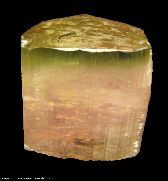 Mineral Specimen: Bicolor Tourmaline (Elbaite) from Himalaya Mine, San Diego County, California, USA