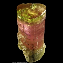 Minerals Specimen: Bicolor Tourmaline (Elbaite) from Himalaya Mine, San Diego County, California, USA