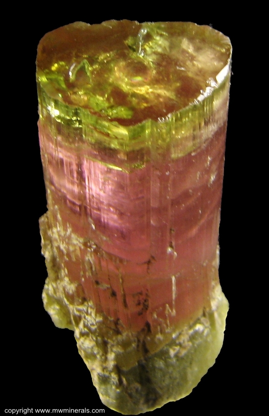 Mineral Specimen: Bicolor Tourmaline (Elbaite) from Himalaya Mine, San Diego County, California, USA