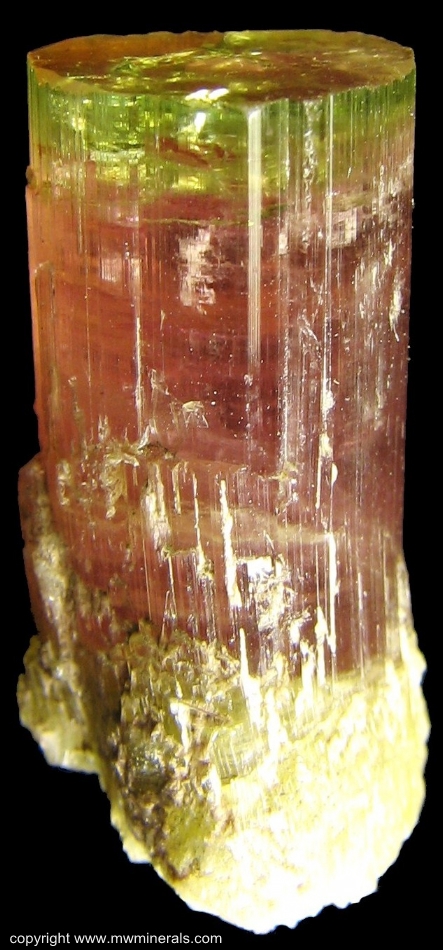 Mineral Specimen: Bicolor Tourmaline (Elbaite) from Himalaya Mine, San Diego County, California, USA