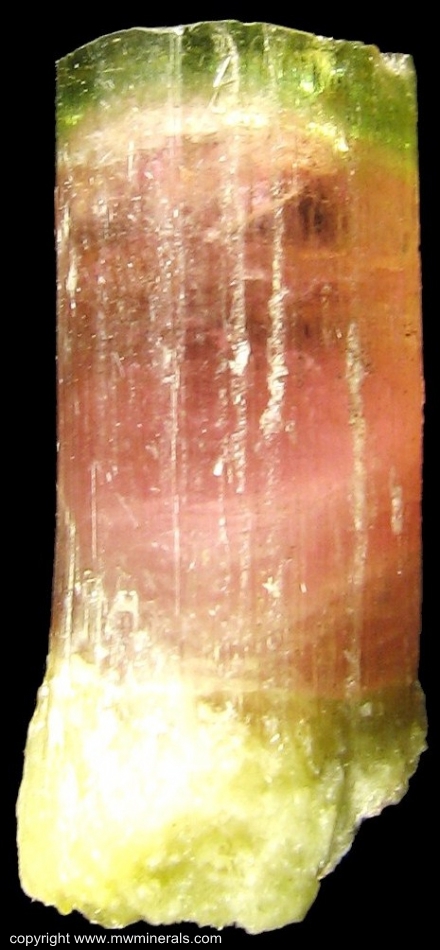 Mineral Specimen: Bicolor Tourmaline (Elbaite) from Himalaya Mine, San Diego County, California, USA