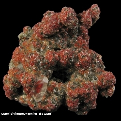 Minerals Specimen: Hematite Included in Calcite from Santa Eulalia District, Mun. de Aquiles Serdan, Chihuahua, Mexico Minerals Specimen: Hematite Included in Calcite from Santa Eulalia District, Mun. de Aquiles Serdan, Chihuahua, Mexico