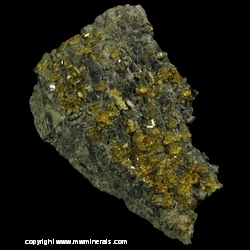 Minerals Specimen: Golden Barite from Sherman tunnel, Upper Iowa Gulch, Leadville District, Lake County, Colorado, USA Minerals Specimen: Golden Barite from Sherman tunnel, Upper Iowa Gulch, Leadville District, Lake County, Colorado, USA