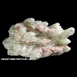 Mineral Specimen: Tourmaline on Quartz with Albite from Minas Gerais, Brazil Mineral Specimen: Tourmaline on Quartz with Albite from Minas Gerais, Brazil