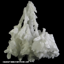 Mineral Specimen: Aragonite from Chihuahua, Mexico Mineral Specimen: Aragonite from Chihuahua, Mexico