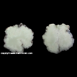 Minerals Specimen: Datolite from Central Exploration Mine, Keweenaw Co., Michigan Minerals Specimen: Datolite from Central Exploration Mine, Keweenaw Co., Michigan