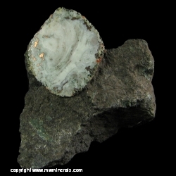 Mineral Specimen: Copper Included in Agate from Wolverine Mine #2 Shaft, Houghton Co., Michigan Mineral Specimen: Copper Included in Agate from Wolverine Mine #2 Shaft, Houghton Co., Michigan