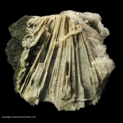 Minerals Specimen: Quartz cast after Anhydrite from Upper New Street Quarry, West Paterson, Passaic County, New Jersey Minerals Specimen: Quartz cast after Anhydrite from Upper New Street Quarry, West Paterson, Passaic County, New Jersey