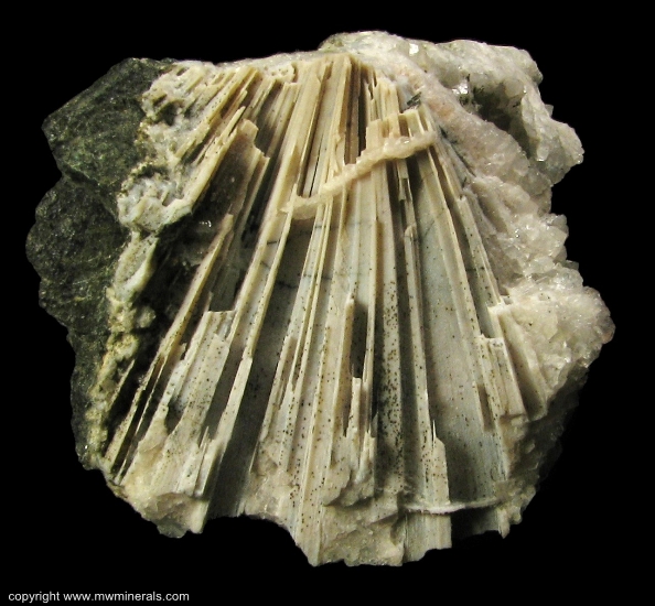 Mineral Specimen: Quartz cast after Anhydrite from Upper New Street Quarry, West Paterson, Passaic County, New Jersey
