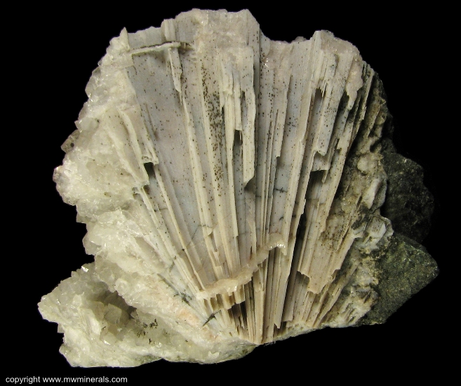Mineral Specimen: Quartz cast after Anhydrite from Upper New Street Quarry, West Paterson, Passaic County, New Jersey