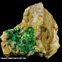 Minerals Specimen: Brochantite from Blanchard Mine, Bingham, Hansonburg District, Socorro County, New Mexico Minerals Specimen: Brochantite from Blanchard Mine, Bingham, Hansonburg District, Socorro County, New Mexico