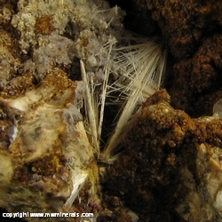 Mineral Specimen: Dawsonite from Terlano, Adige Valley, Bolzano Province, Trentino-Alto Adige, Italy Mineral Specimen: Dawsonite from Terlano, Adige Valley, Bolzano Province, Trentino-Alto Adige, Italy