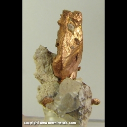 Minerals Specimen: Copper Crystal from Keweenaw Peninsula, Michigan Minerals Specimen: Copper Crystal from Keweenaw Peninsula, Michigan