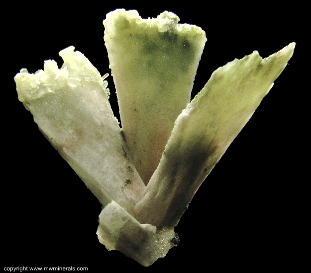 Mineral Specimen: Quartz pseudomorph after Anhydrite with Calcite from Saltinho, Rio Grande do Sul, Brazil