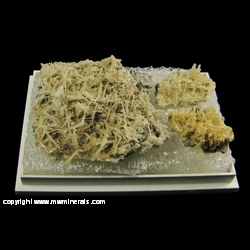 Mineral Specimen: Pectolite from Mont Saint-Hilaire, Quebec, Canada Mineral Specimen: Pectolite from Mont Saint-Hilaire, Quebec, Canada