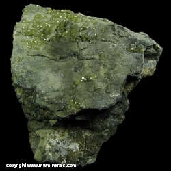 Minerals Specimen: Andradite Garnet variety Demantoid from Green Fire Mine, San Benito Co., California Minerals Specimen: Andradite Garnet variety Demantoid from Green Fire Mine, San Benito Co., California