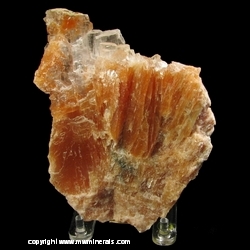 Minerals Specimen: Selenite on Red Gypsum from Michigan Cold Storage, Wyoming, Kent Co., Michigan Minerals Specimen: Selenite on Red Gypsum from Michigan Cold Storage, Wyoming, Kent Co., Michigan