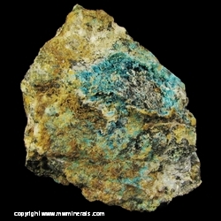 Minerals Specimen: Serpierite with Brochantite from Creole Mine, Beaver Co., Utah Minerals Specimen: Serpierite with Brochantite from Creole Mine, Beaver Co., Utah