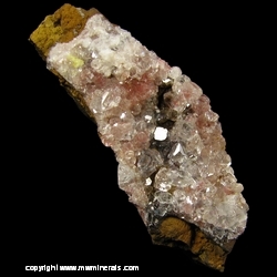 Mineral Specimen: Calcite with Included Hematite from Kalahari manganese fields, Northern Cape Province, South Africa Mineral Specimen: Calcite with Included Hematite from Kalahari manganese fields, Northern Cape Province, South Africa