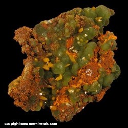 Minerals Specimen: Wulfenite and Mimetite from Mina Ojuela, Mapimi, Durango, Mexico Minerals Specimen: Wulfenite and Mimetite from Mina Ojuela, Mapimi, Durango, Mexico