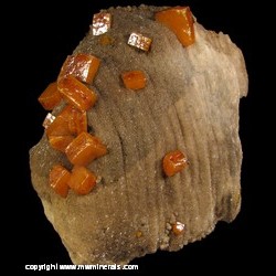Minerals Specimen: Wulfenite on Barite from Los Lamentos, Chihuahua, Mexico Minerals Specimen: Wulfenite on Barite from Los Lamentos, Chihuahua, Mexico
