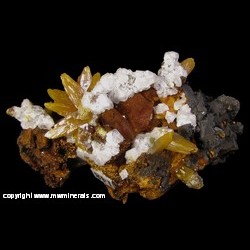 Minerals Specimen: Bipyrmidal Wulfenite from Mina Ojuela, Mapimi, Durango, Mexico Minerals Specimen: Bipyrmidal Wulfenite from Mina Ojuela, Mapimi, Durango, Mexico