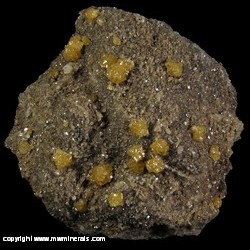 Mineral Specimen: Sphalerite on Dolomite from Frontier Dolomite Quarry, Lockport, Niagra Co., New York