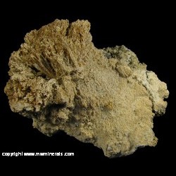 Minerals Specimen: Epsomite from White Cap Mine, 230 foot level, Manhattan, Nye Co., Nevada Minerals Specimen: Epsomite from White Cap Mine, 230 foot level, Manhattan, Nye Co., Nevada
