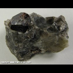 Mineral Specimen: Almandine Garnet, Beryl, Smoky Quartz, from Kolsva, Koting, Vastmanland, Sweden Mineral Specimen: Almandine Garnet, Beryl, Smoky Quartz, from Kolsva, Koting, Vastmanland, Sweden