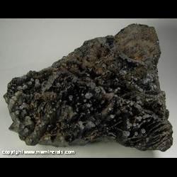 Minerals Specimen: Stalactite Goethite from Taylor Iron Mine, Alberta Twp., Baraga Co., Michigan Minerals Specimen: Stalactite Goethite from Taylor Iron Mine, Alberta Twp., Baraga Co., Michigan