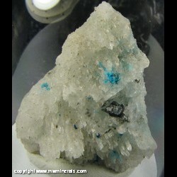 Minerals Specimen: Ammineite, Gypsum, Halite from Pabellon de Pica, Caleta Chanabaya, Iquique Province, Tarapaca Region, Chile Minerals Specimen: Ammineite, Gypsum, Halite from Pabellon de Pica, Caleta Chanabaya, Iquique Province, Tarapaca Region, Chile