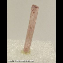 Mineral Specimen: Tourmaline (Curved Crystal) from Himalaya Mine, San Diego Co., Arizona Mineral Specimen: Tourmaline (Curved Crystal) from Himalaya Mine, San Diego Co., Arizona