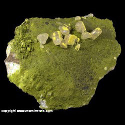 Mineral Specimen: Mimetite on Cerussite on Duftite and Mottramite on Dolomite from Tsumeb, Namibia