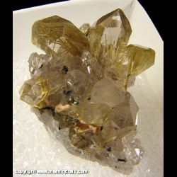 Minerals Specimen: Rutliated Quartz with Hematite from Novo Horizonte, Bahia, Brazil Minerals Specimen: Rutliated Quartz with Hematite from Novo Horizonte, Bahia, Brazil