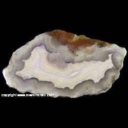 Mineral Specimen: Laguna Agate from Estacion Ojo Laguna, Mun de Ahumada, Chihuahua, Mexico Mineral Specimen: Laguna Agate from Estacion Ojo Laguna, Mun de Ahumada, Chihuahua, Mexico