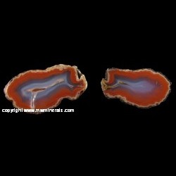 Mineral Specimen: Coyamito Agate Pair from Rancho Coyamito, Sierra del Gallego, Mun. de Ahumada, Chihuahua, Mexico Mineral Specimen: Coyamito Agate Pair from Rancho Coyamito, Sierra del Gallego, Mun. de Ahumada, Chihuahua, Mexico