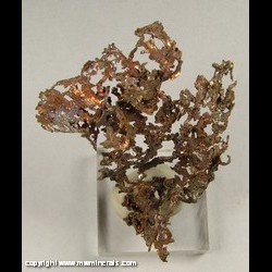 Minerals Specimen: Copper from Cheg Men Shan Deposit, Jiurui District, Jiangx, China Minerals Specimen: Copper from Cheg Men Shan Deposit, Jiurui District, Jiangx, China