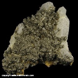 Mineral Specimen: Pyrite on Quartz from Santa Eulalia District, Mun. de Aquiles Serdan, Chihuahua, Mexico Mineral Specimen: Pyrite on Quartz from Santa Eulalia District, Mun. de Aquiles Serdan, Chihuahua, Mexico