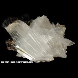 Mineral Specimen: Calcite on Gaudefroyite and Andradite from Wessels Mine, Hotazel, Kalahari manganese field, Northern Cape Prov., South Africa Mineral Specimen: Calcite on Gaudefroyite and Andradite from Wessels Mine, Hotazel, Kalahari manganese field, Northern Cape Prov., South Africa