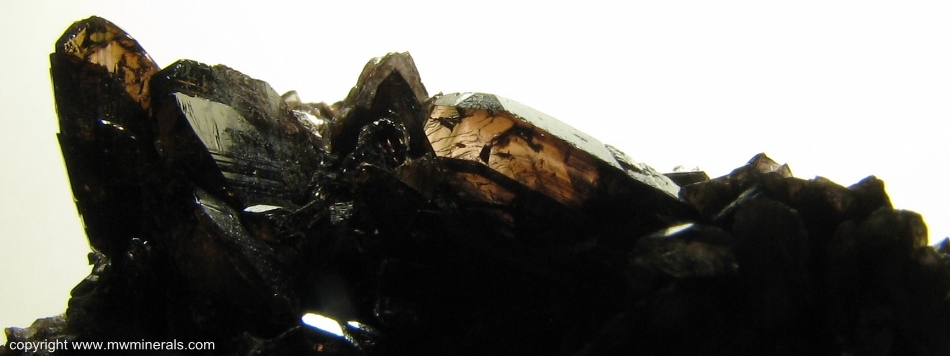 Mineral Specimen: Axinite-(Fe) from Stamps and Jowl Zawn (Roscommon Cliff), Trewellard, Botallack / Pendeen Area, St Just District, Cornwall, England
