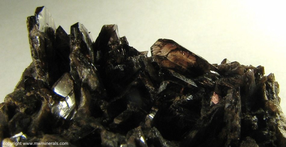 Mineral Specimen: Axinite-(Fe) from Stamps and Jowl Zawn (Roscommon Cliff), Trewellard, Botallack / Pendeen Area, St Just District, Cornwall, England
